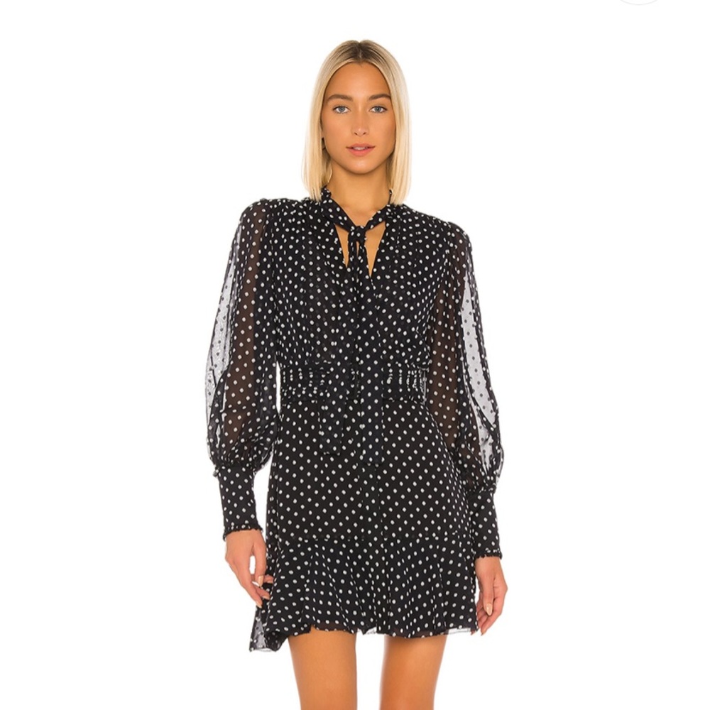NWT Alexis ivette dress
